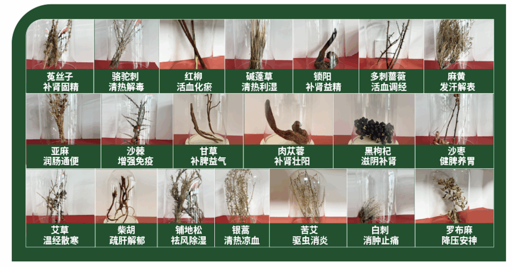 世界级的耐力营养美味，就藏在一品驼驼奶里