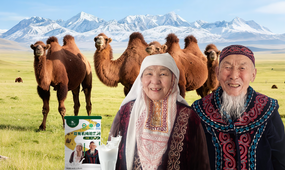 一品驼耐力大使